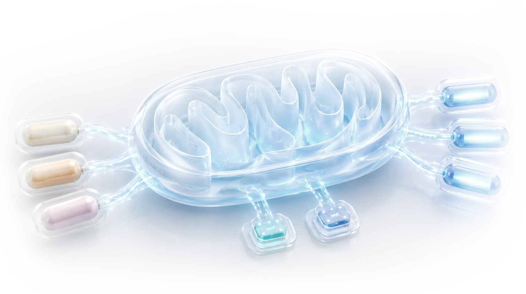Ilustración de Cell Clinics de una mitocondria como símbolo de la energía celular